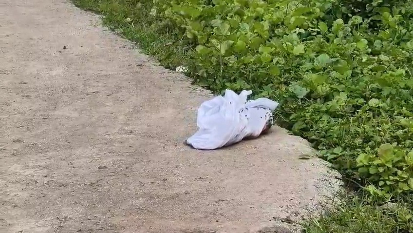 Sensitive: scene near Zari bridge